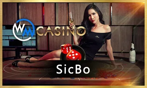 Bigbunny Sports Betting